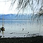 am Bodensee 5