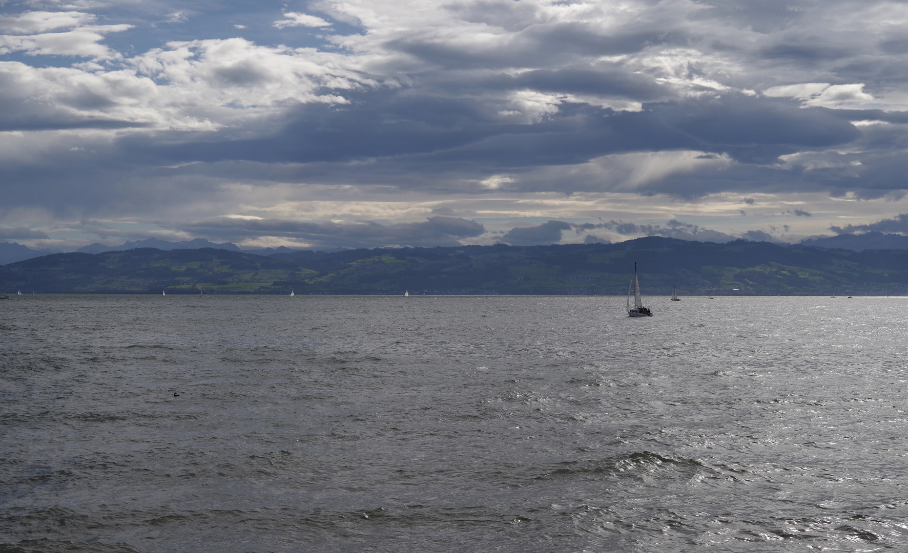 ..am Bodensee