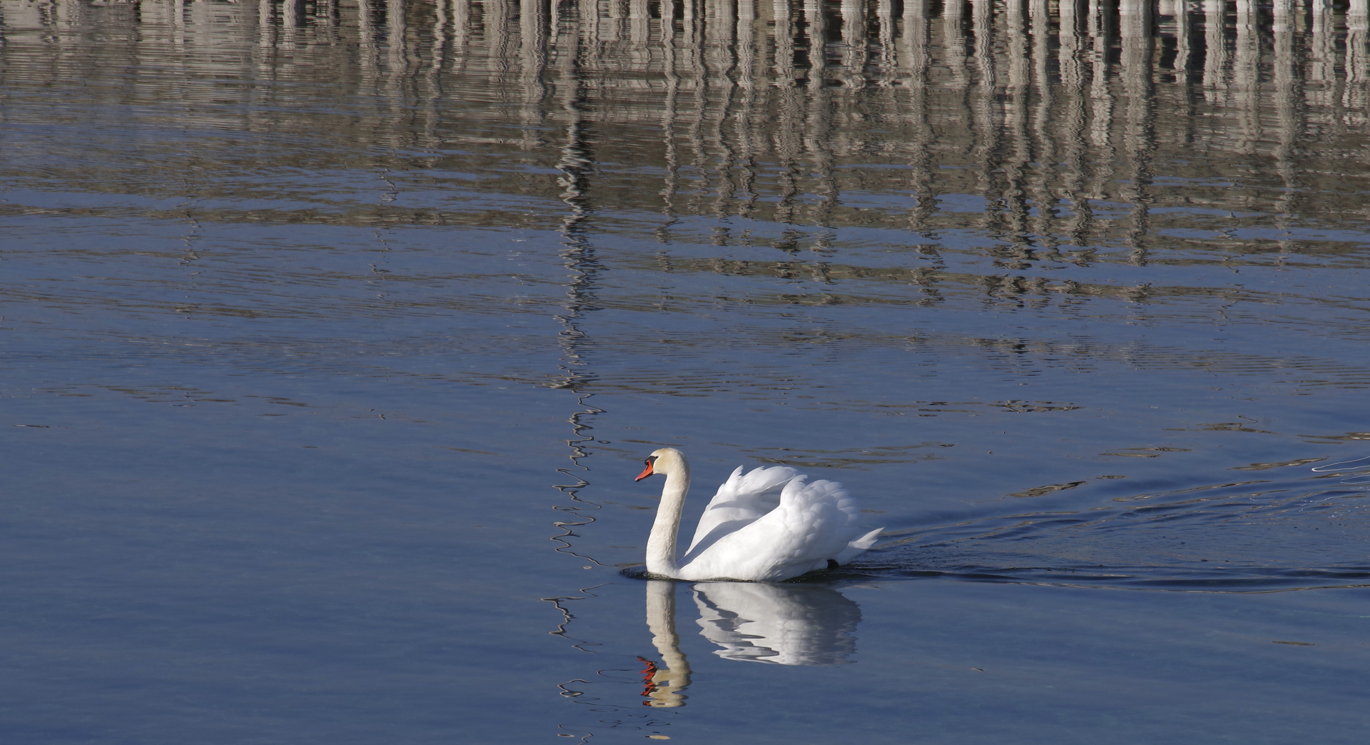 ...am Bodensee