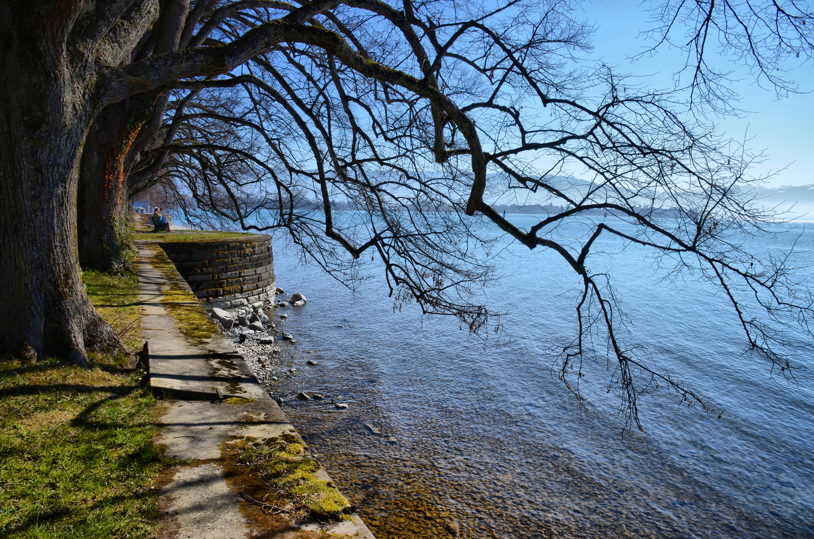 am Bodensee