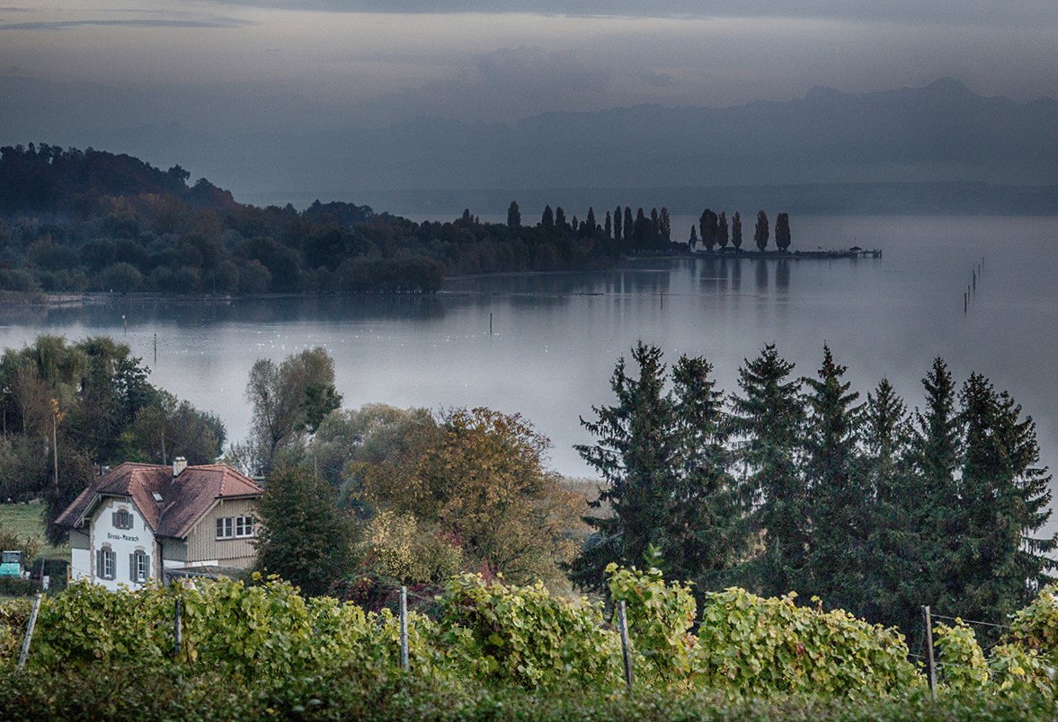 ..am Bodensee..