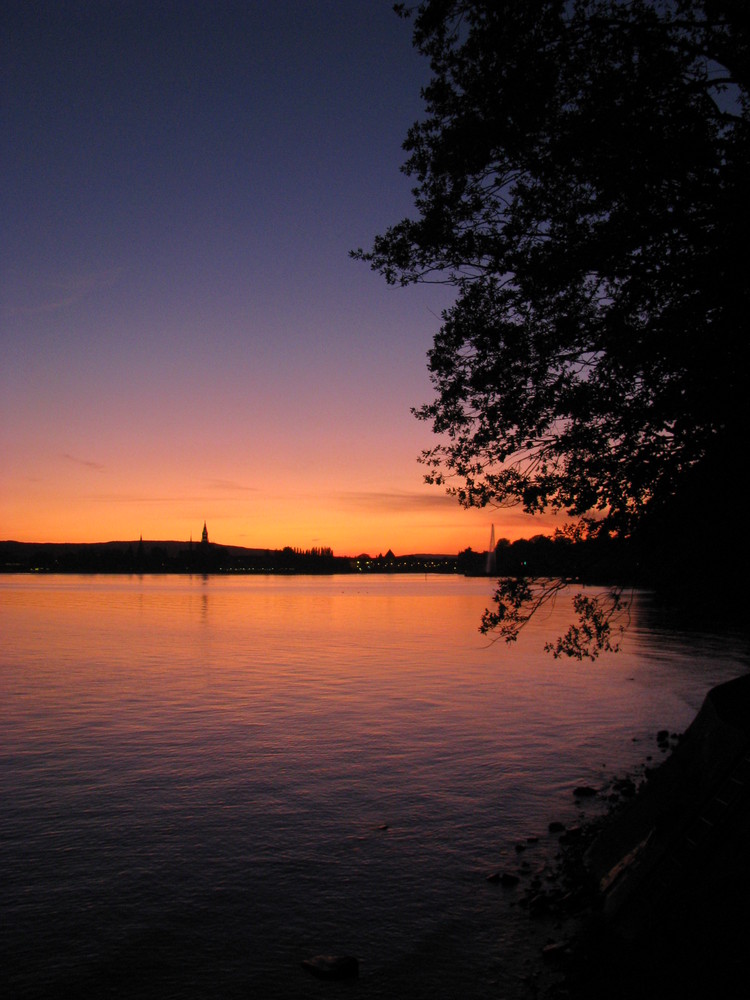 am Bodensee