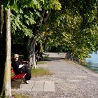 ...am Bodensee