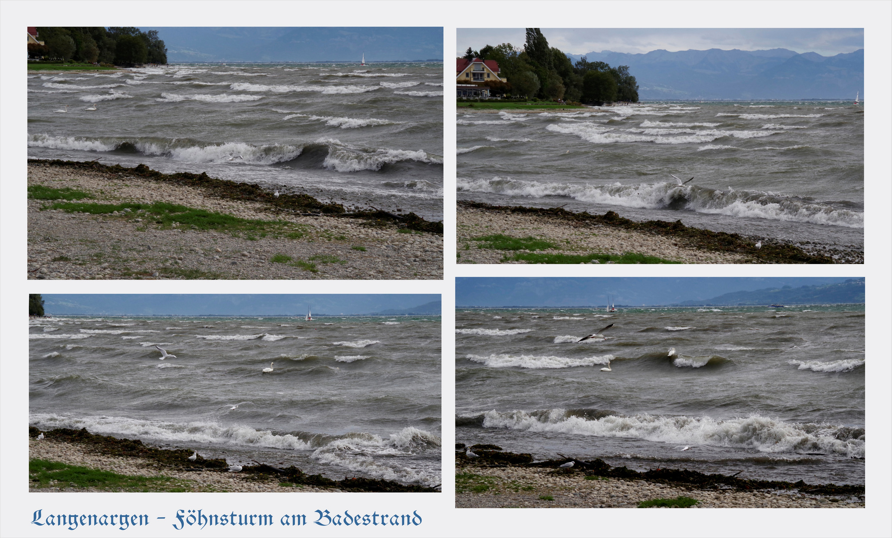 ...am Bodensee