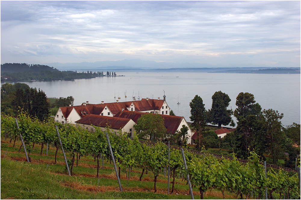 am Bodensee