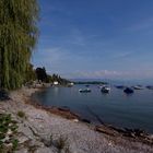 ...am Bodensee