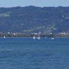 ...am Bodensee