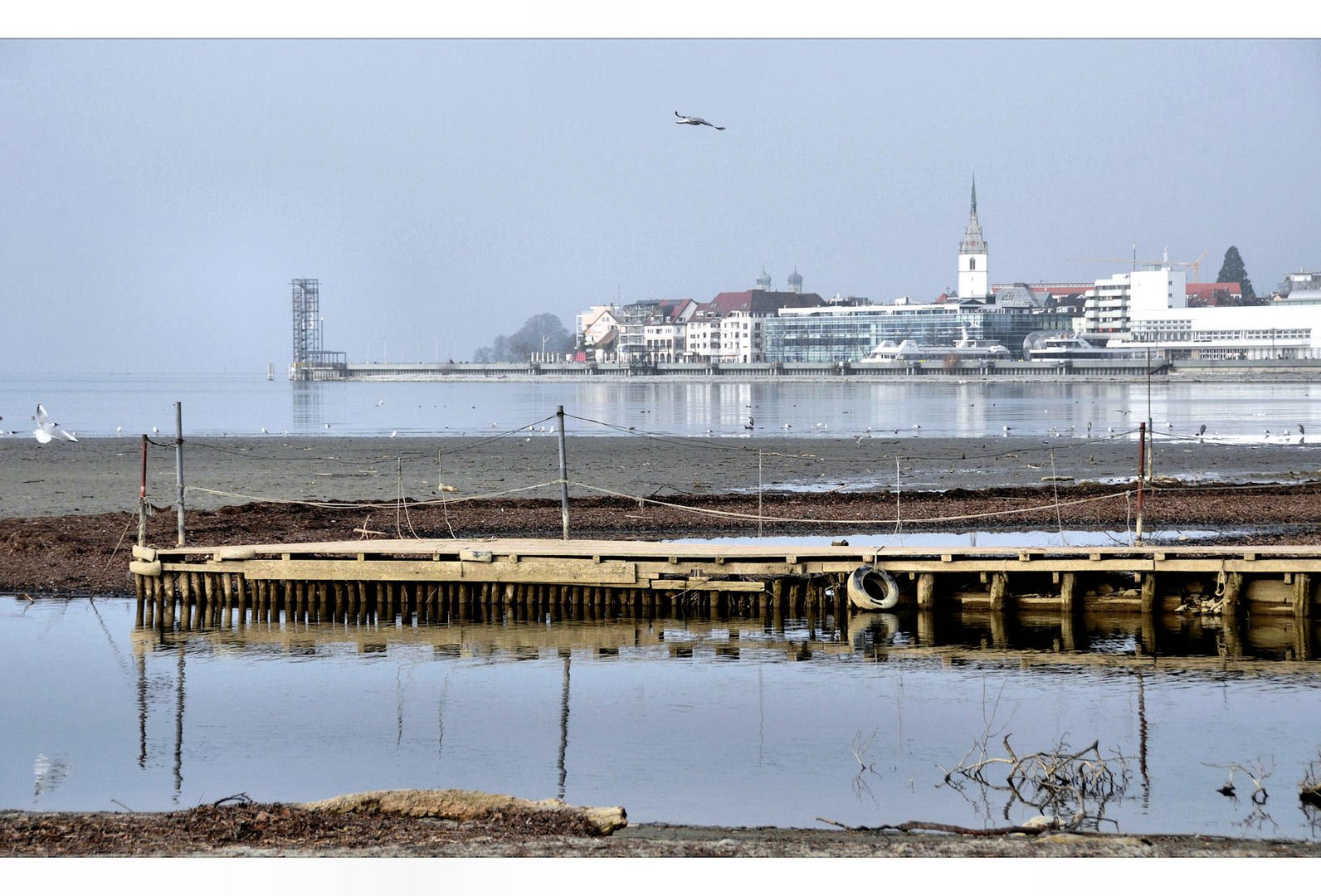 am Bodensee