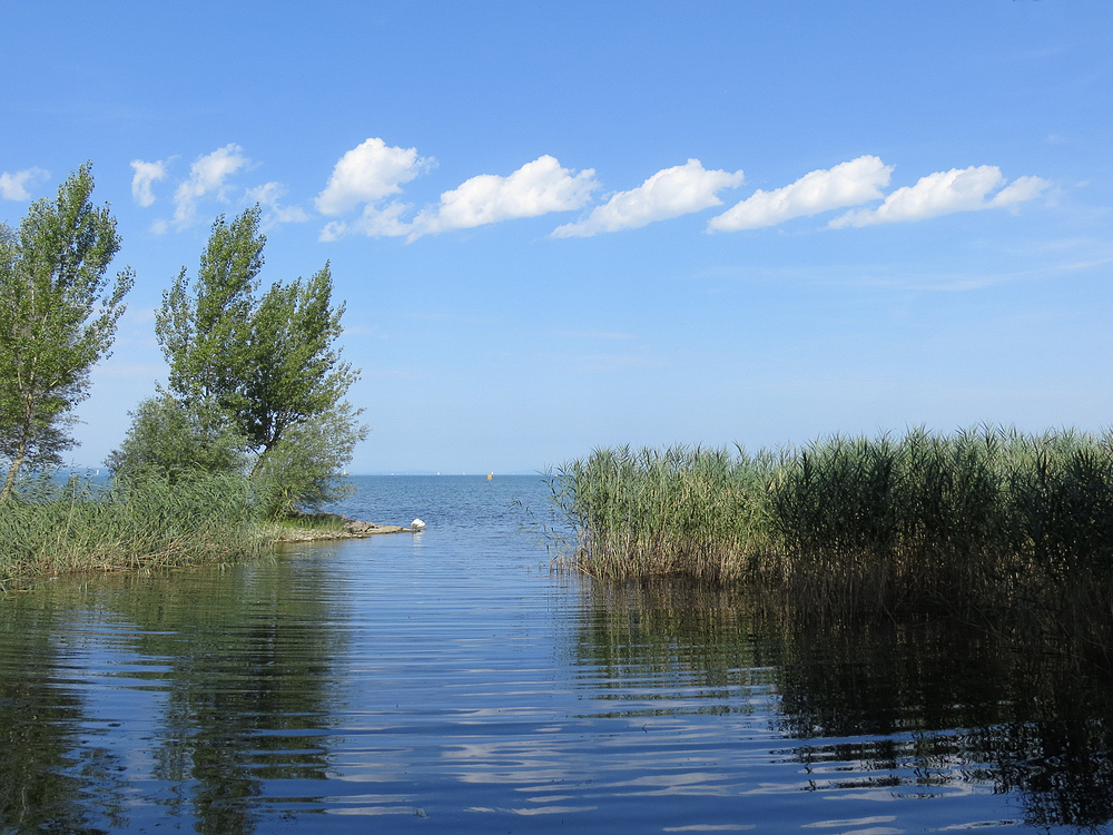 Am Bodensee bei Altenrhein