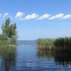 Am Bodensee bei Altenrhein