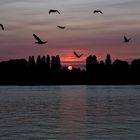 Am Bodensee bei Konstanz