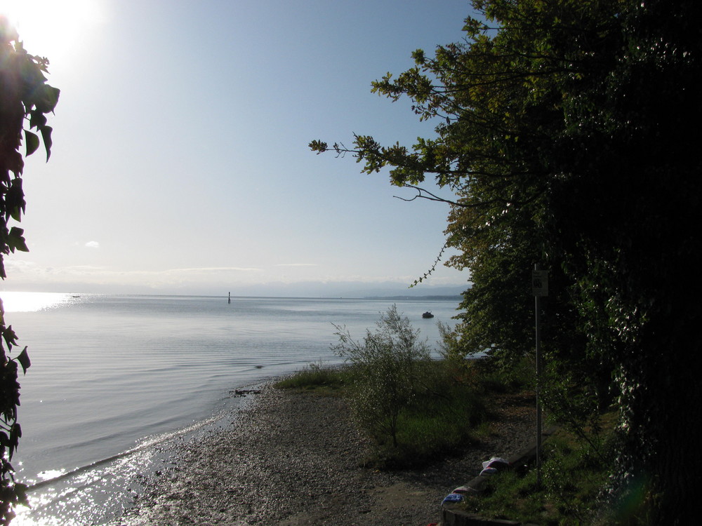 am Bodensee bei Konstanz