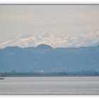 Am Bodensee, Blick Richtung BREGENZ und BREGENZER WALD