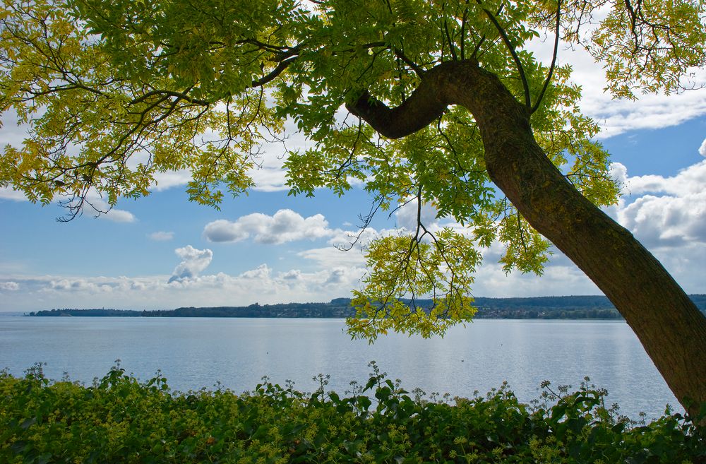 Am Bodensee