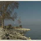 am Bodensee