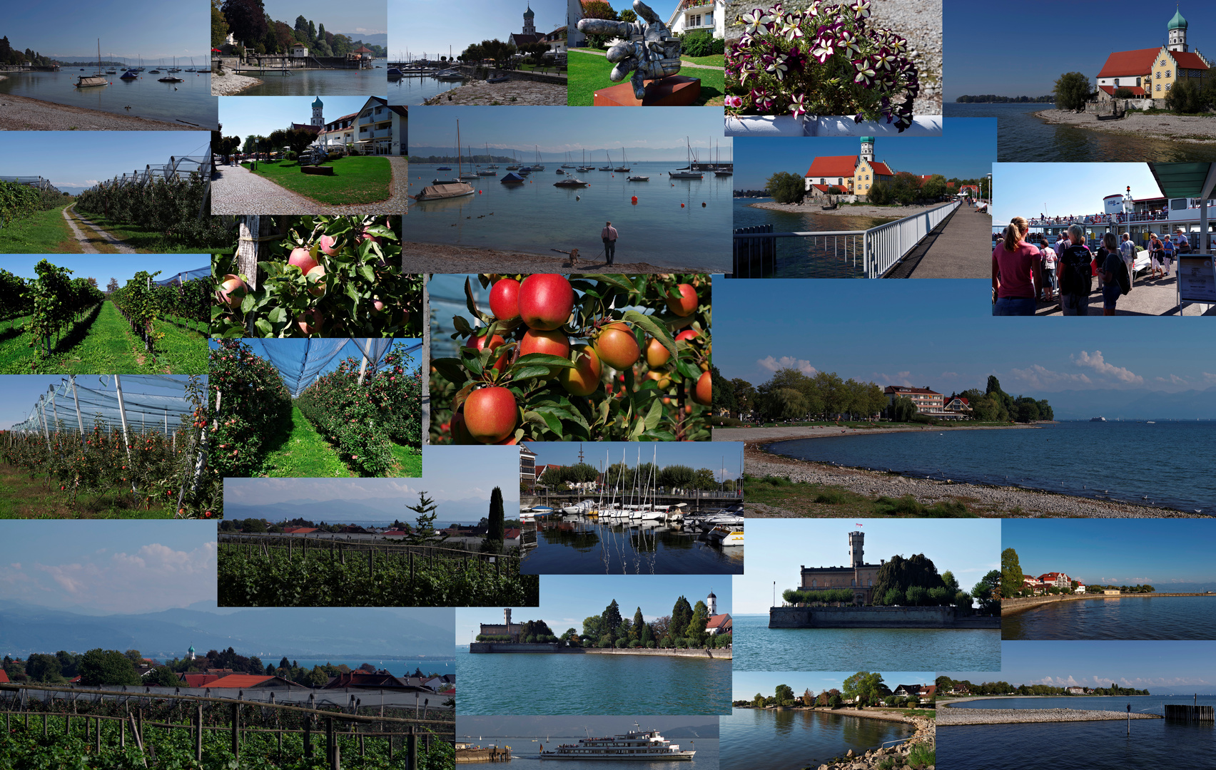 ...am Bodensee ( Collage )