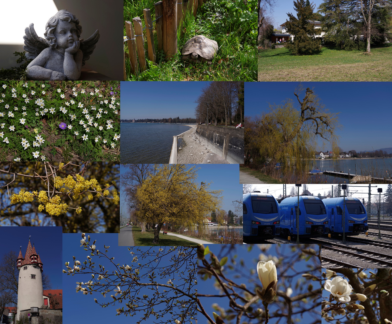 ...am Bodensee (Collage)