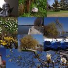 ...am Bodensee (Collage)