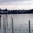 am Bodensee