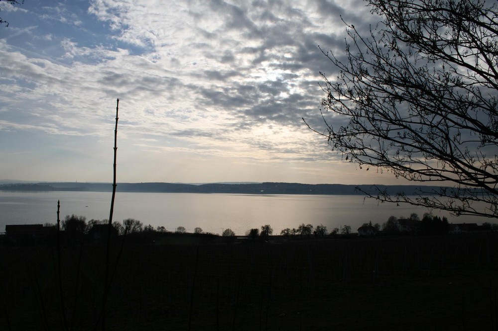 Am Bodensee