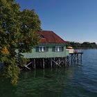 ...am Bodensee