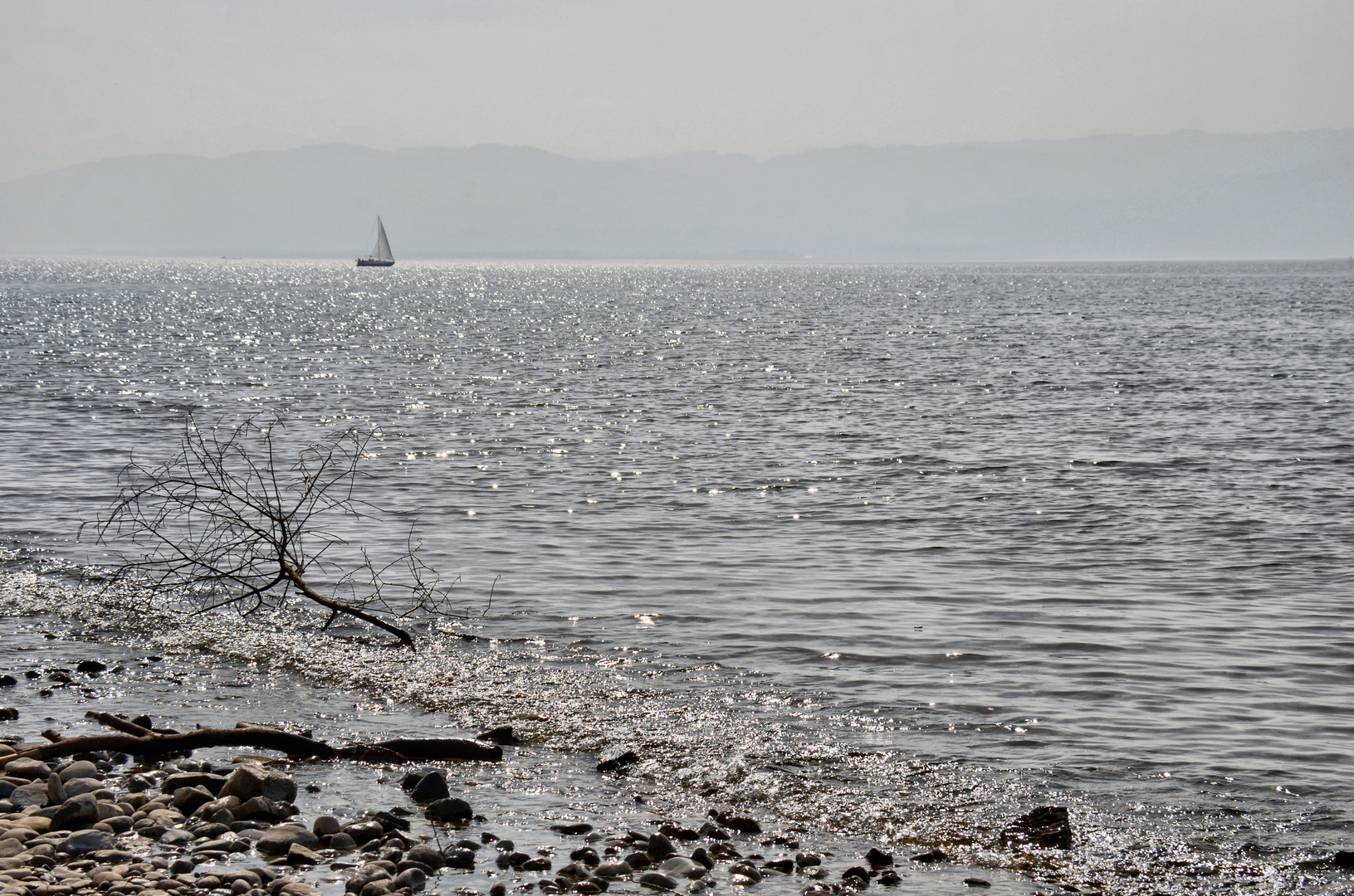 am Bodensee