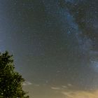 Am Bodensee einen Blick in den August-Himmel gewagt