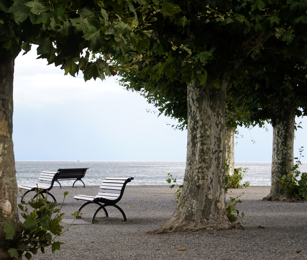 am Bodensee