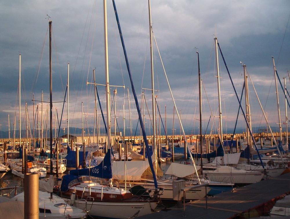 Am Bodensee - Friedrichshafen