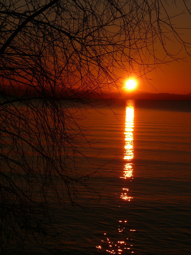 am Bodensee geht die Sonne unter.