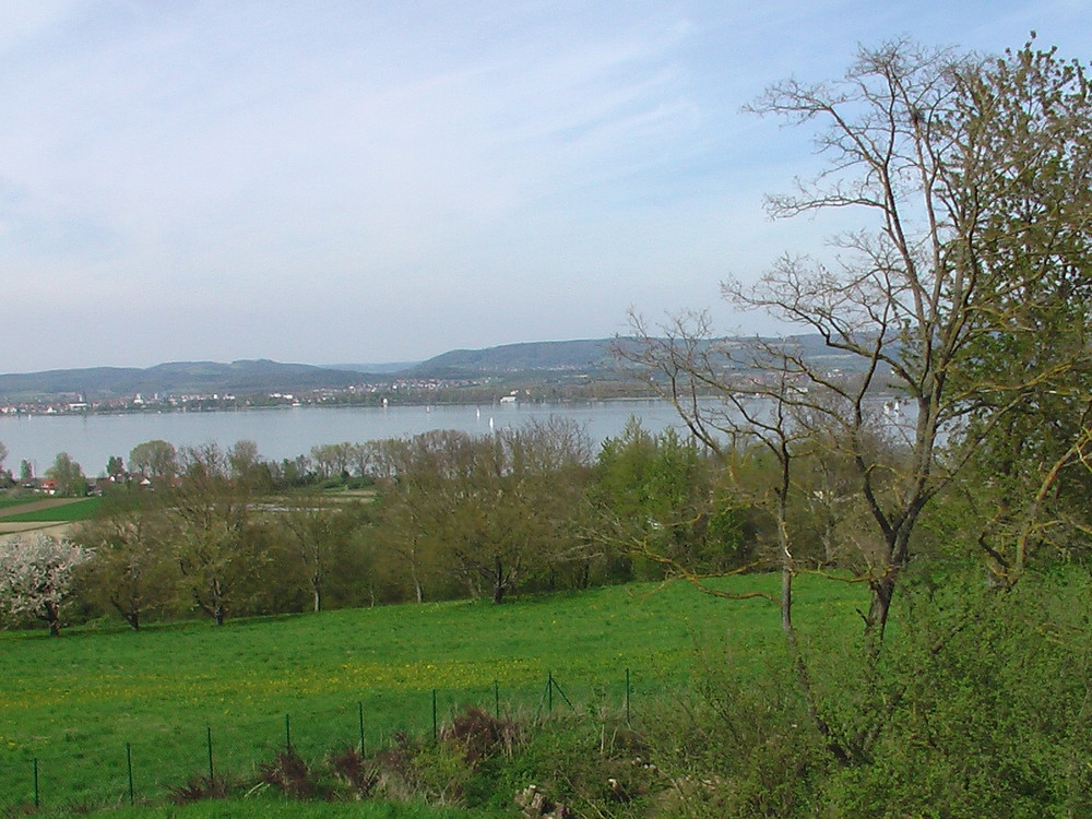 Am Bodensee im Mai