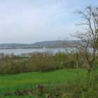 Am Bodensee im Mai