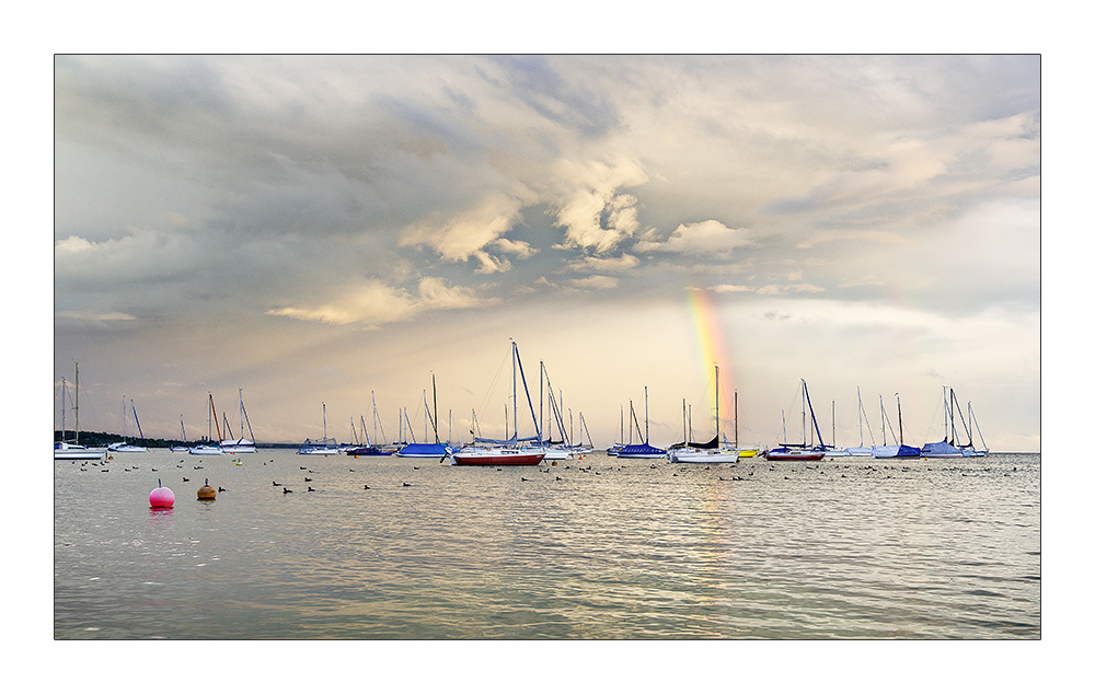 Am Bodensee - Immenstaad 12 - Nach dem Regen