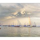 Am Bodensee - Immenstaad 12 - Nach dem Regen