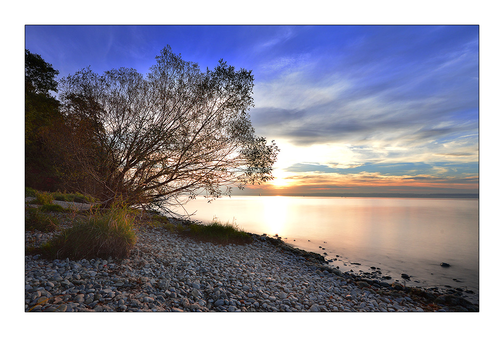 Am Bodensee - Immenstaad 14