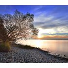 Am Bodensee - Immenstaad 14