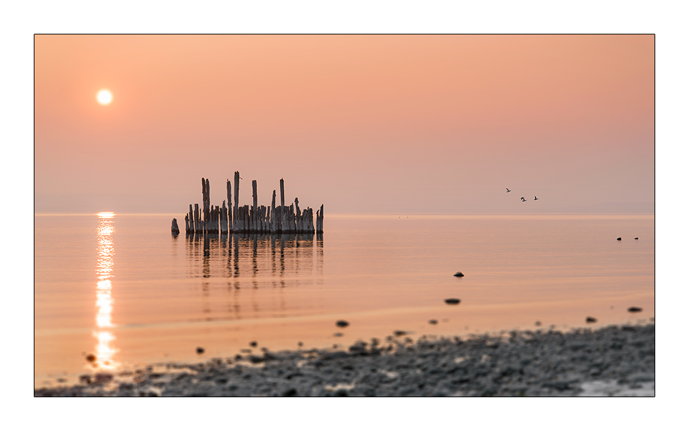 Am Bodensee - Immenstaad 8