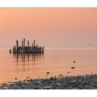 Am Bodensee - Immenstaad 8