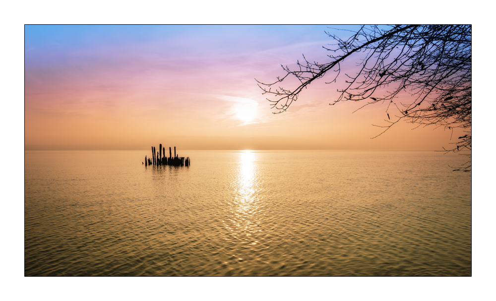 Am Bodensee - Immenstaad 9