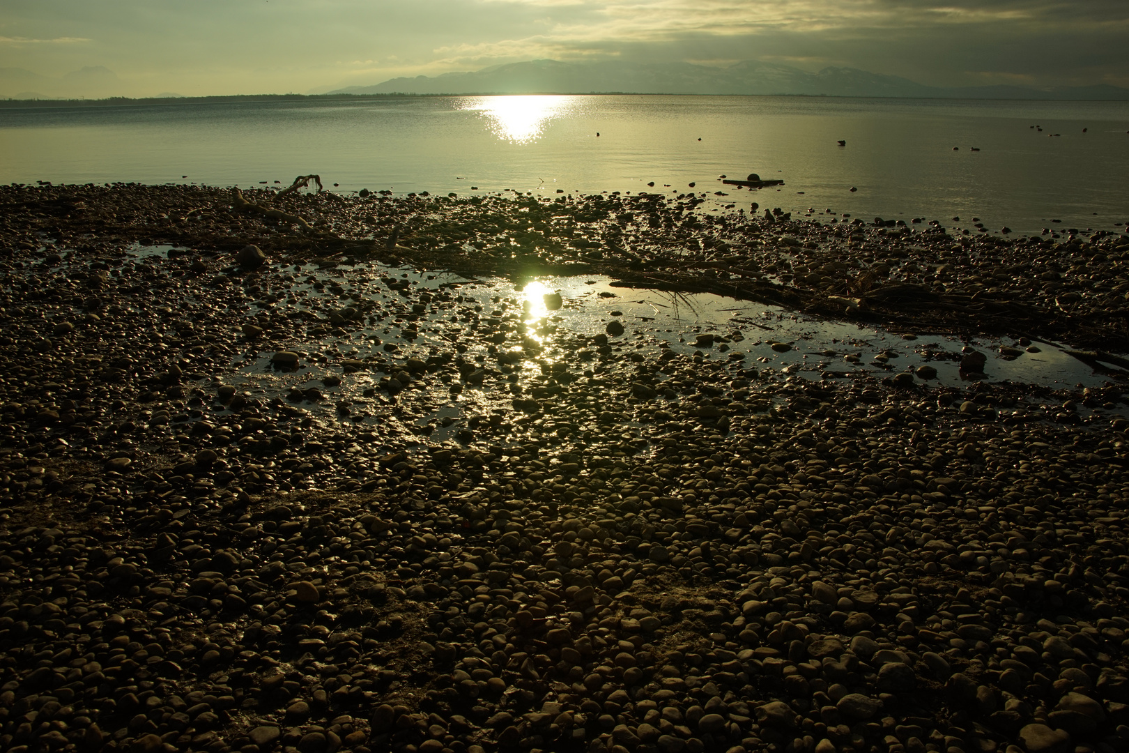 Am Bodensee Ufer. Zech 01-2022