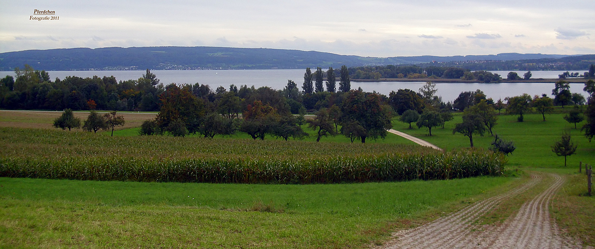 "Am Bodensee von Pferdchen Fotografie"