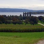 "Am Bodensee von Pferdchen Fotografie"