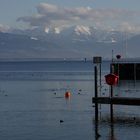 am Bodensee...14