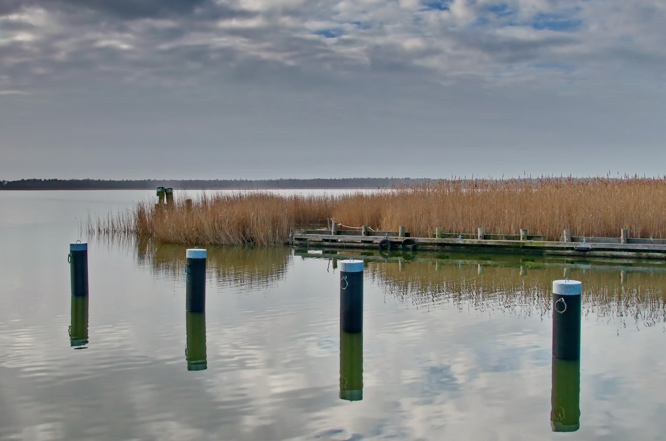 am Bodstedter Bodden