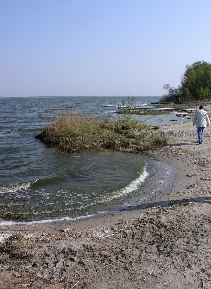 Am Bodstedter Bodden von babsy44 