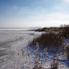 Am Bodstedter Bodden in Wieck a. Darß