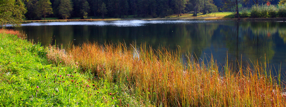 Am Böcklweiher