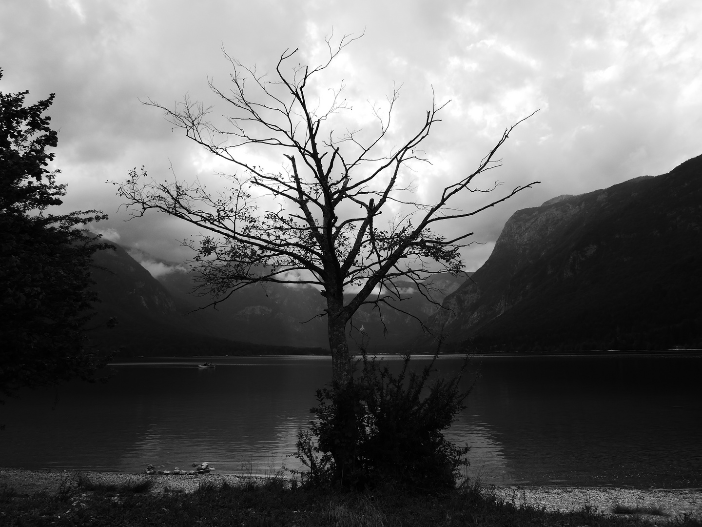 am Bohinj-See