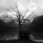 am Bohinj-See