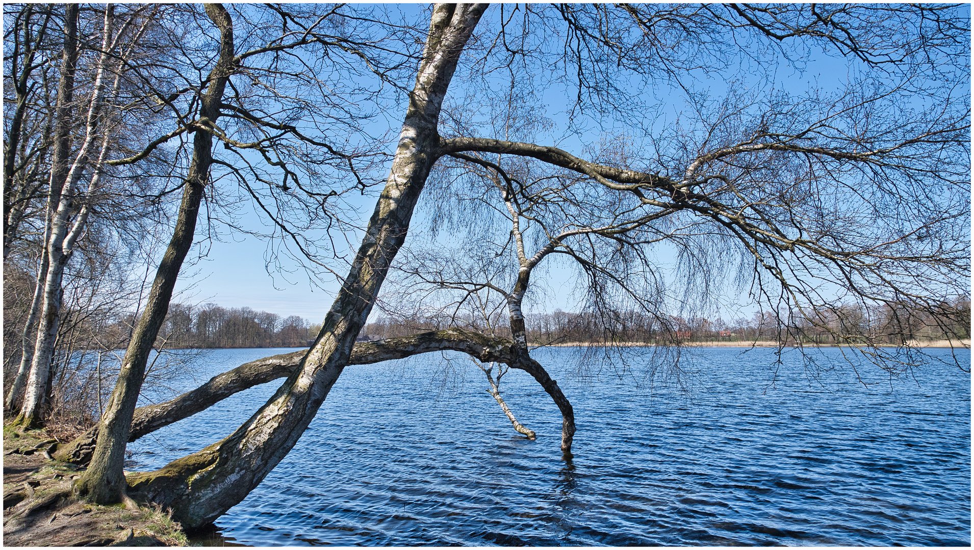 Am Bokler See